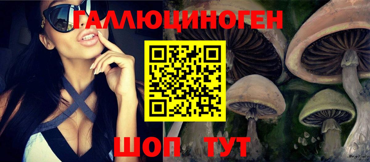 Сочи  Галлюциногенные грибы мицелий  Вход с VPN 